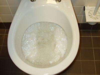 door het toilet spoelen